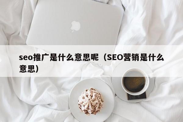 seo推广是什么意思呢（SEO营销是什么意思）